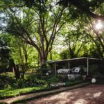 On Golden Pond Garden